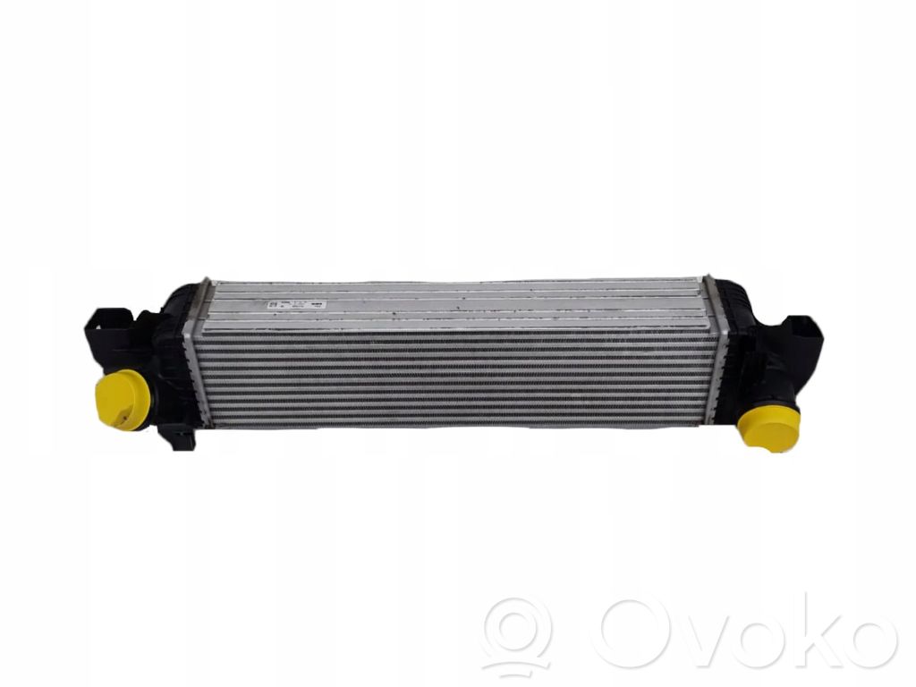 Ford Focus Radiatore di raffreddamento 