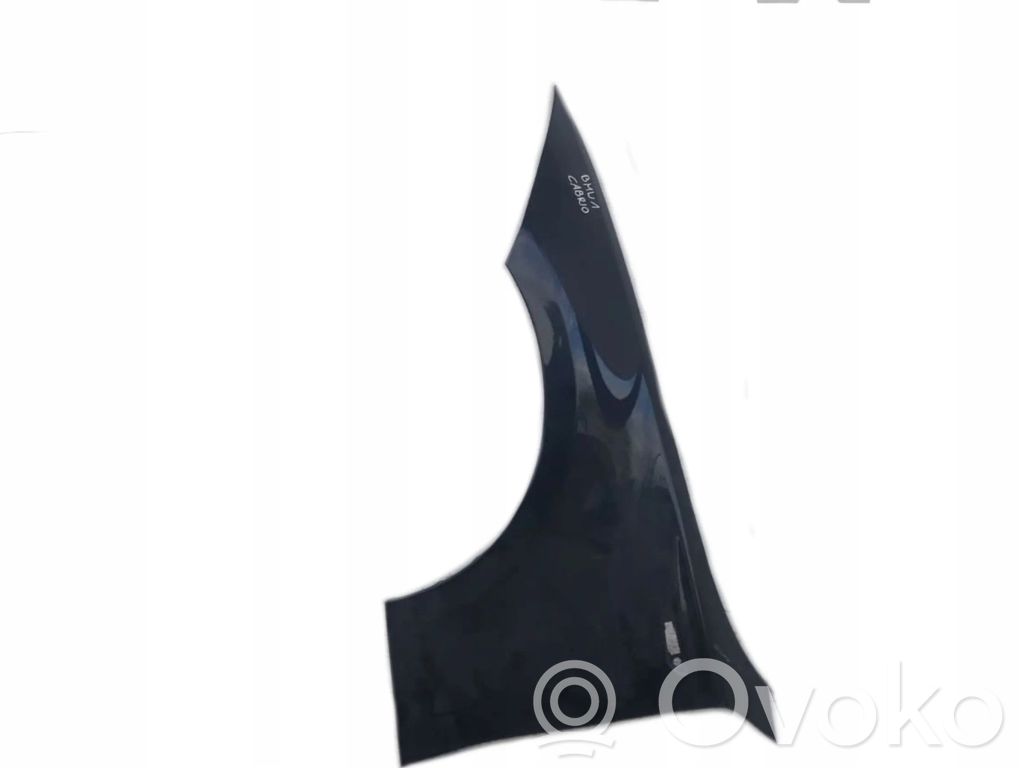 Fender