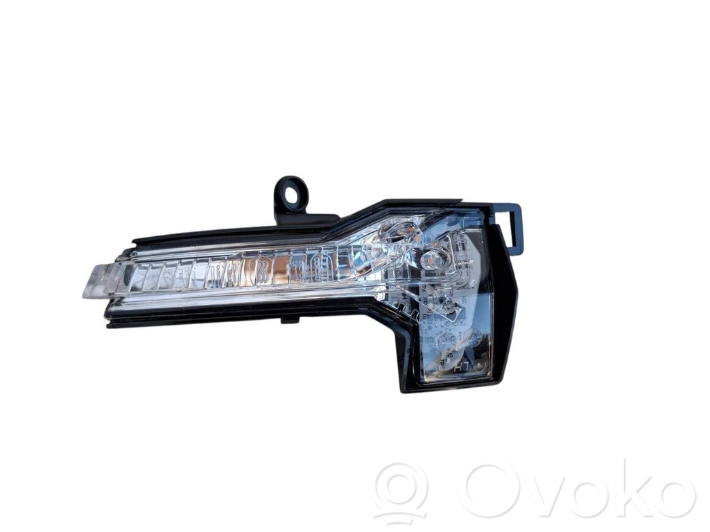 Volkswagen Polo VI Spiegelblinker 