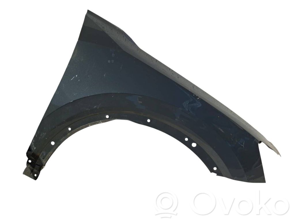Guardabarro   81A