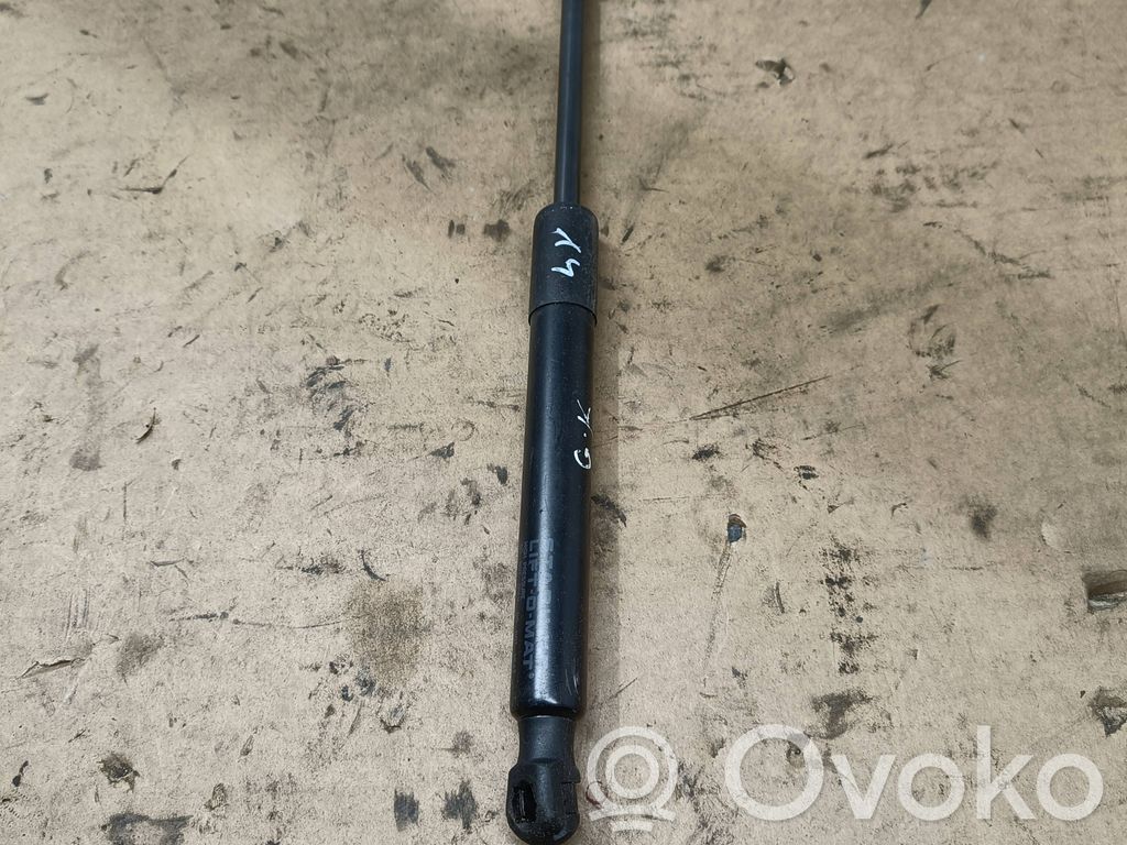 Tesla Model 3 Tailgate/trunk strut/damper 