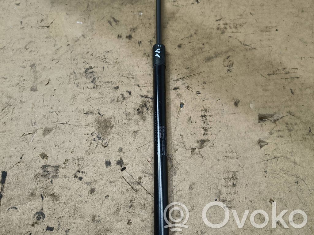 Tailgate/trunk strut/damper   31395607