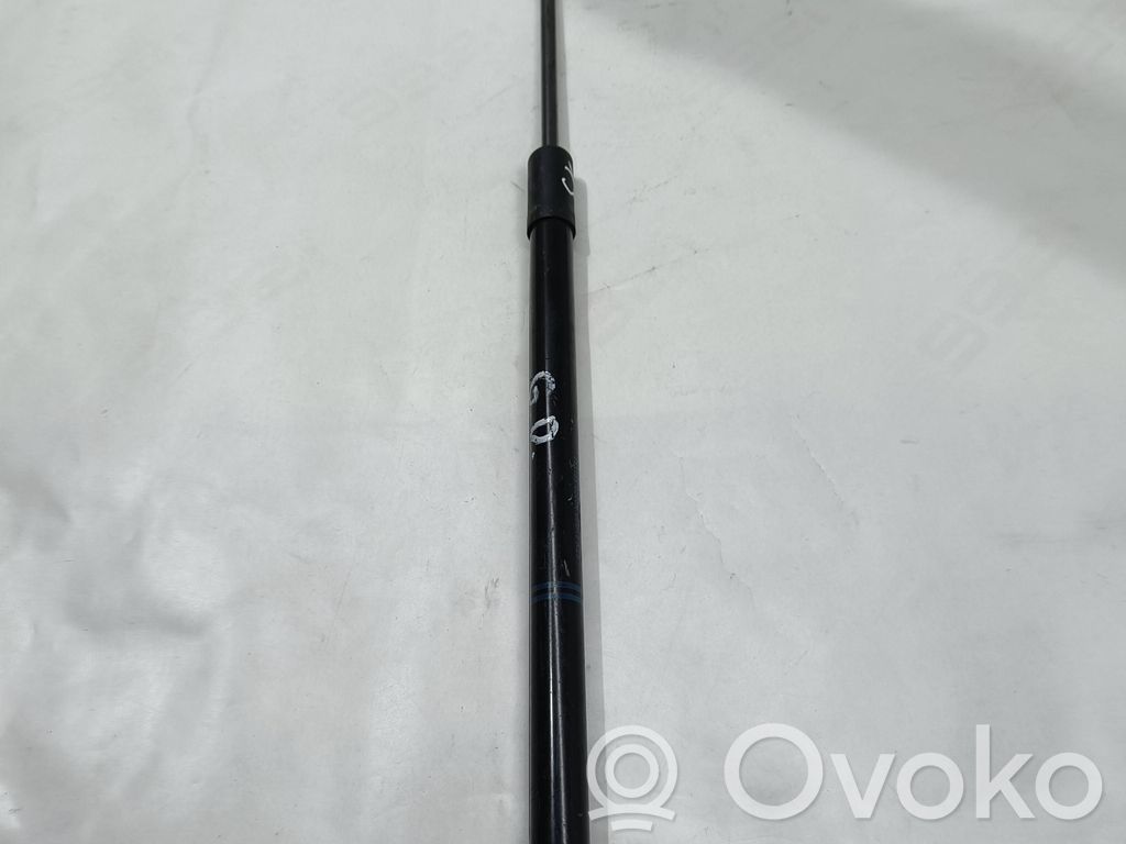 Opel Corsa E Tailgate/trunk strut/damper 
