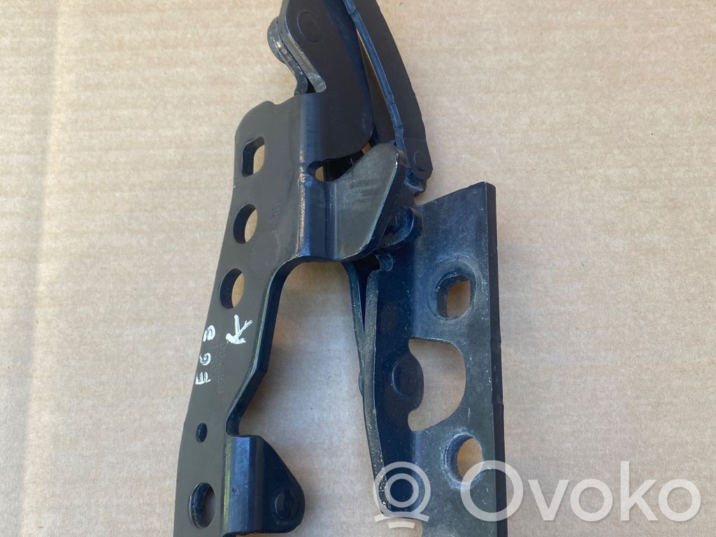 BMW M6 Engine bonnet/hood hinges 