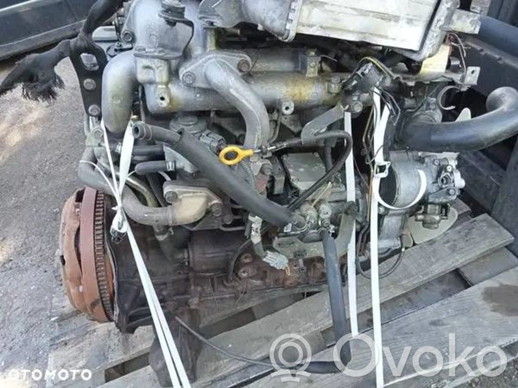 Engine   ZD30