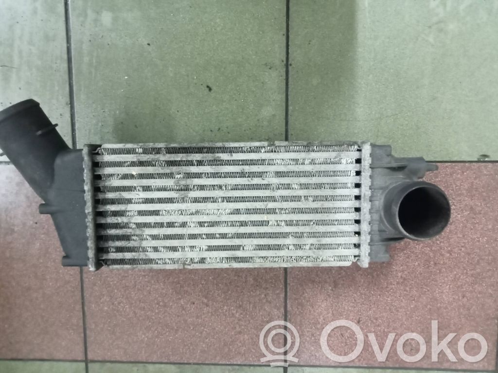 Peugeot 307 Intercooler radiator 