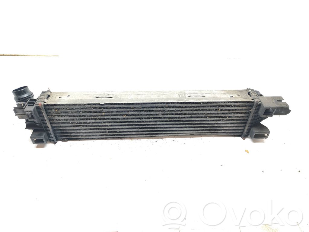 Renault Trafic III (X82) Intercooler radiator 