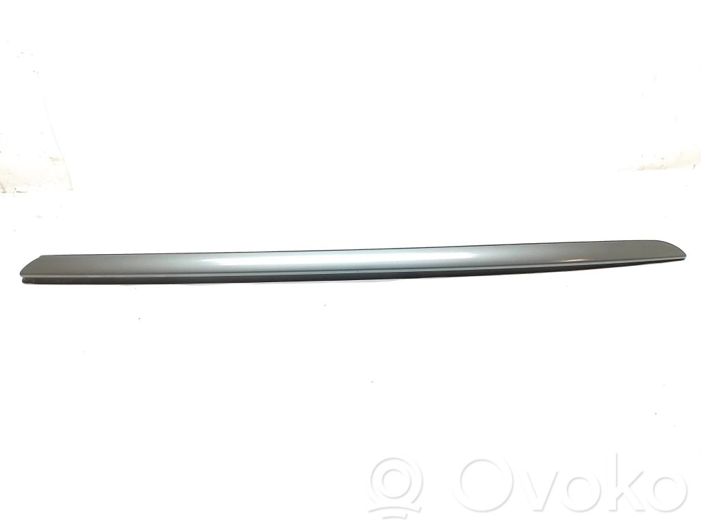 Windshield trim   9687247980