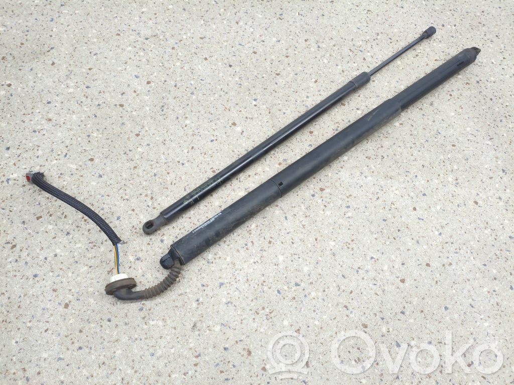 Chrysler Pacifica Tailgate/trunk strut/damper 