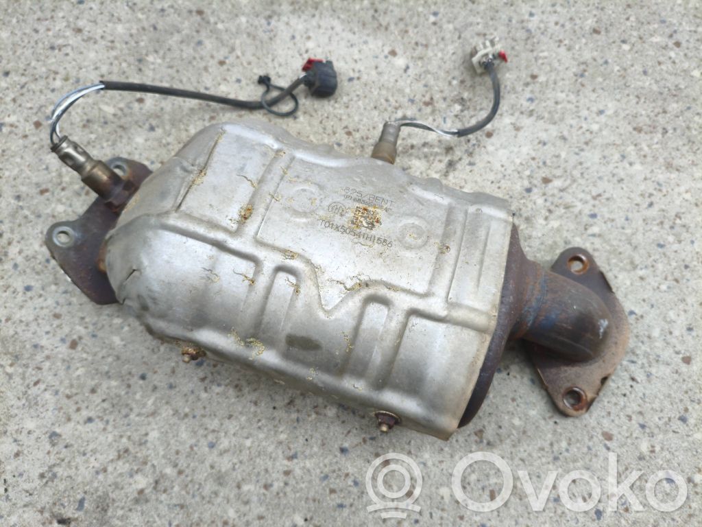 Filtr cząstek stałych Katalizator / FAP / DPF   68365825AC,T01X50541H1586