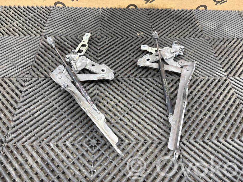 Dodge Challenger Engine bonnet/hood hinges 