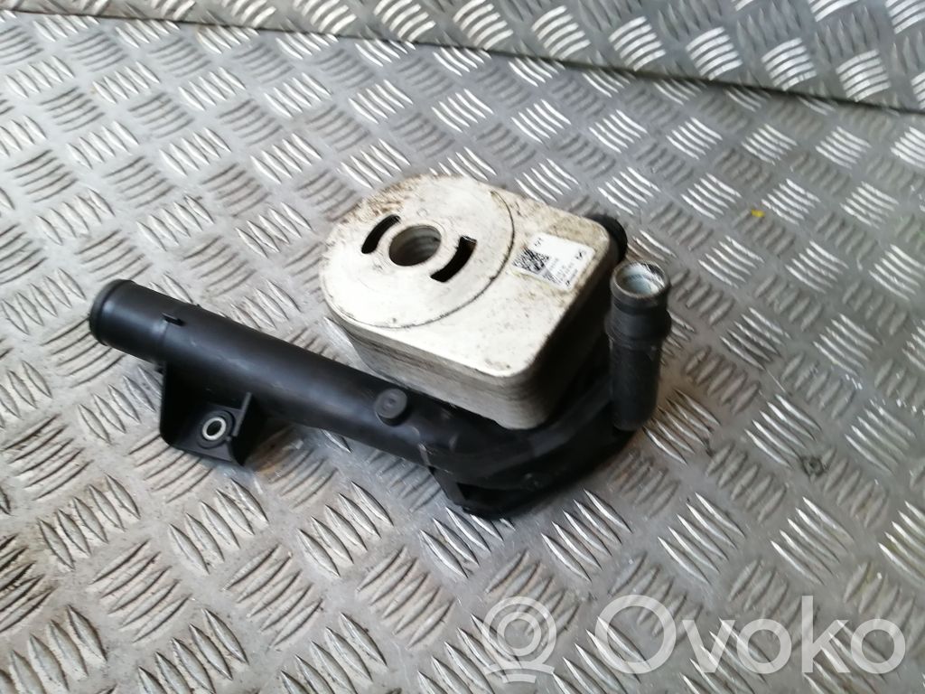 Renault Kangoo II Engine oil radiator 