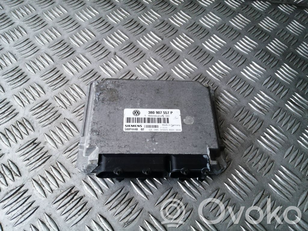 Volkswagen PASSAT B5 Engine control unit/module 