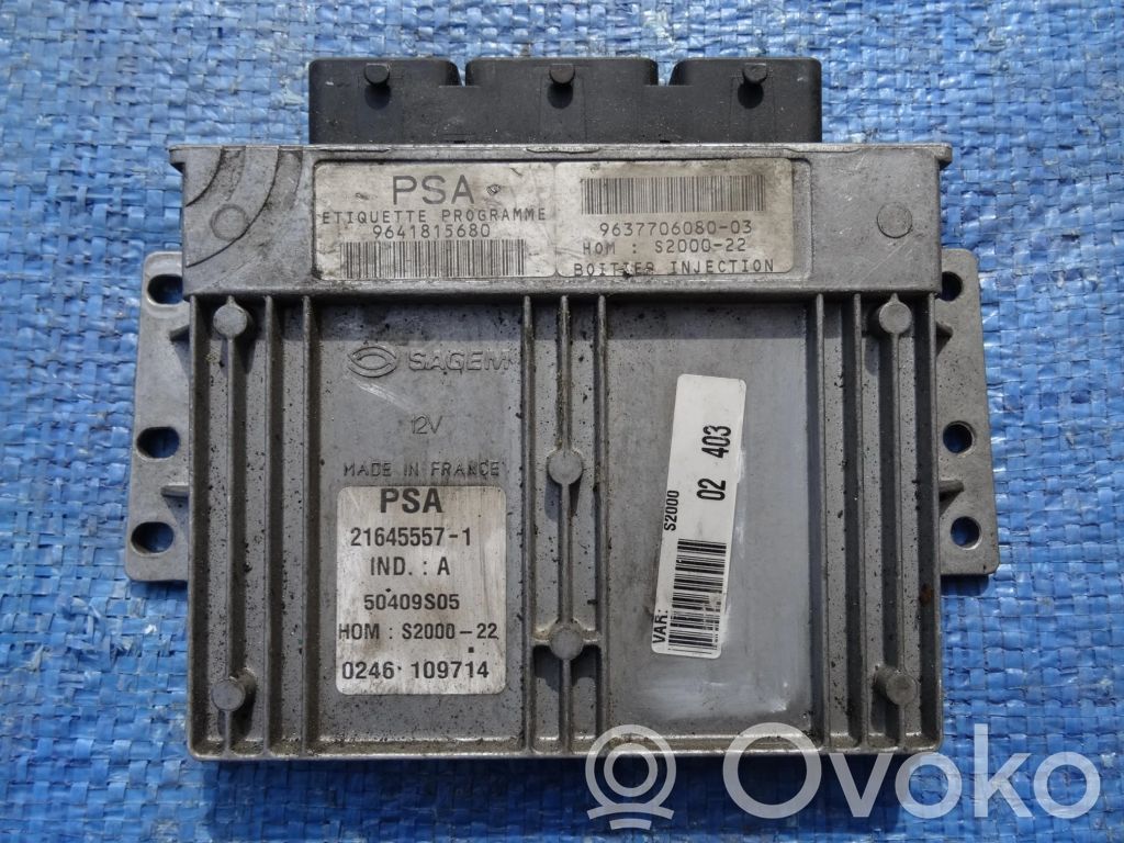 Peugeot 306 Unitate/modul de control motor 