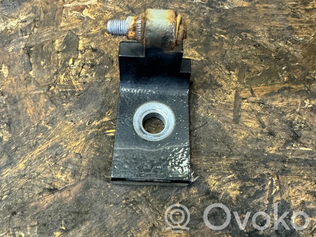 BMW X5 E70 Front door lower hinge 