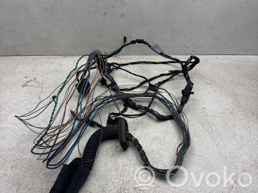 Cableado de puerta trasera   15701510,9116977,NN157V