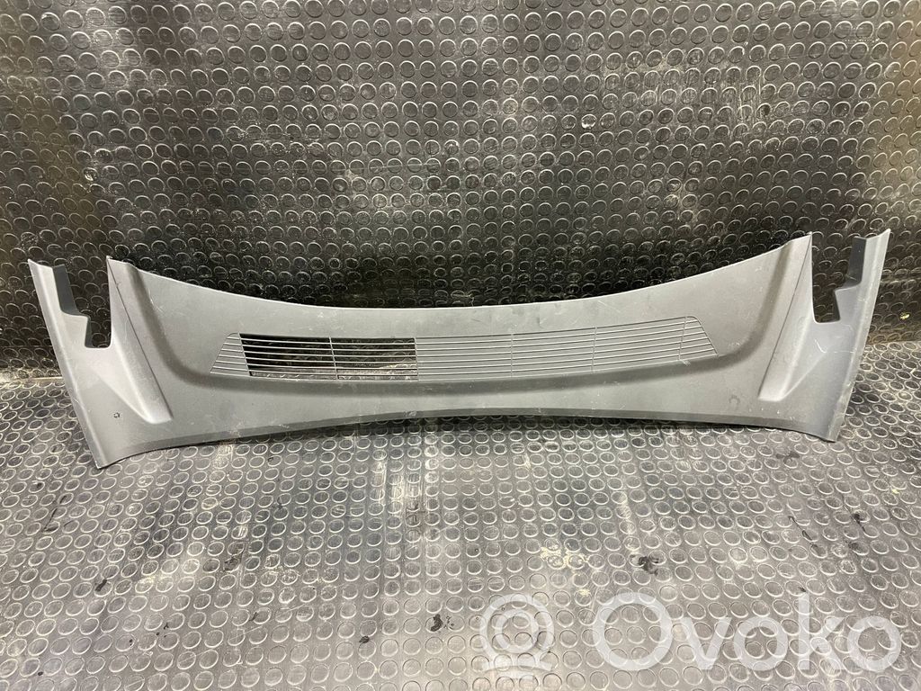 Tesla Model 3 Valytuvų apdaila (-os) 
