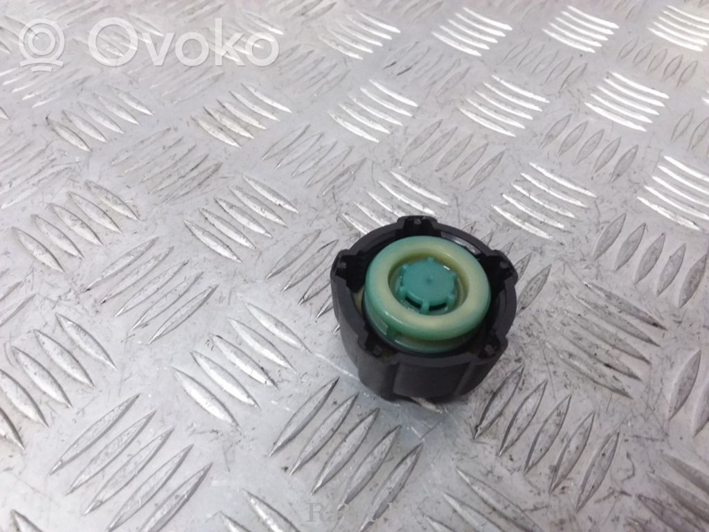 Nissan Qashqai Deckel Ausgleichsbehälter Kühlwasser, 4.20 €