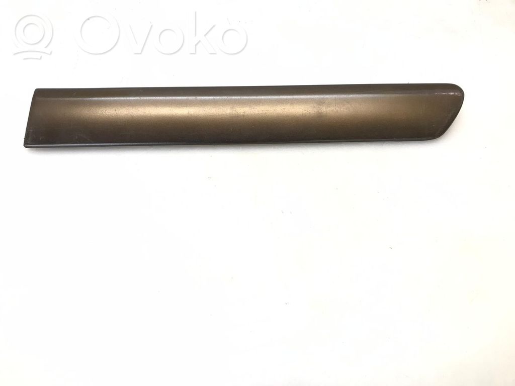 Priekšpusē durvju dekoratīvā apdare (moldings)