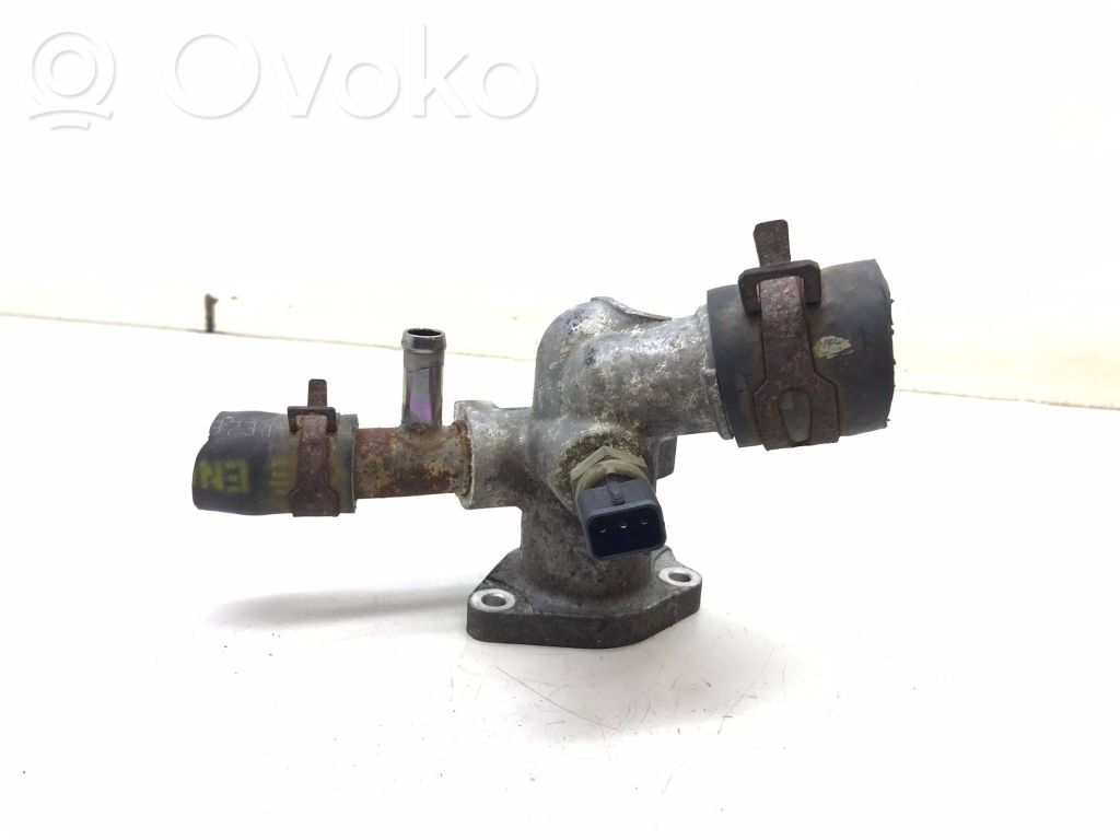 Caurulīte (-es) / šļūtene (-es)