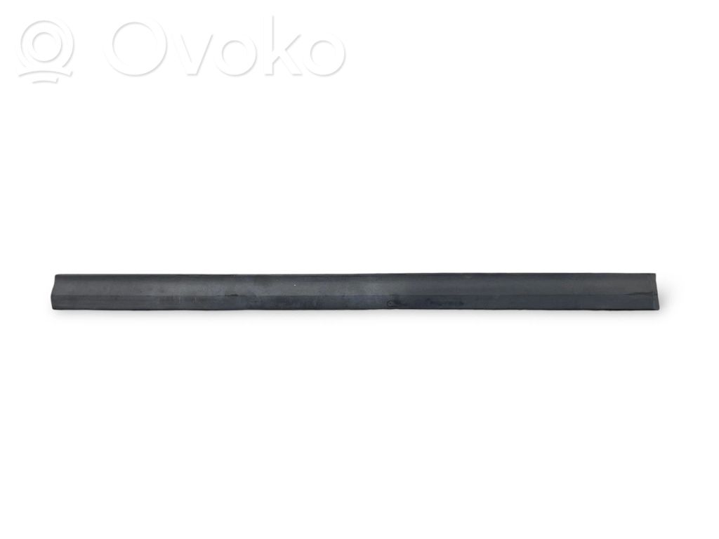 Priekšpusē durvju dekoratīvā apdare (moldings)