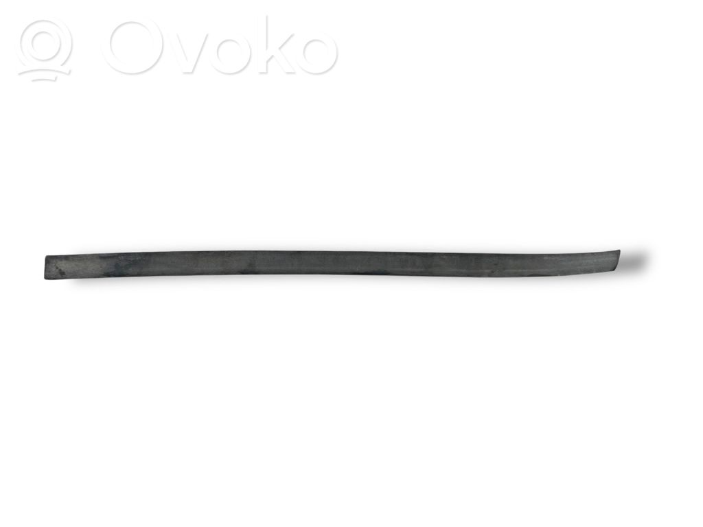 Priekšpusē durvju dekoratīvā apdare (moldings)