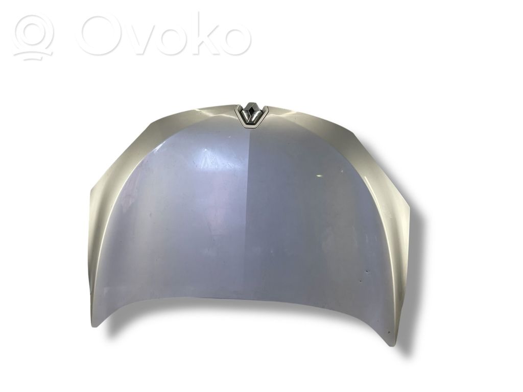 Dzinēja pārsegs (vāks)
