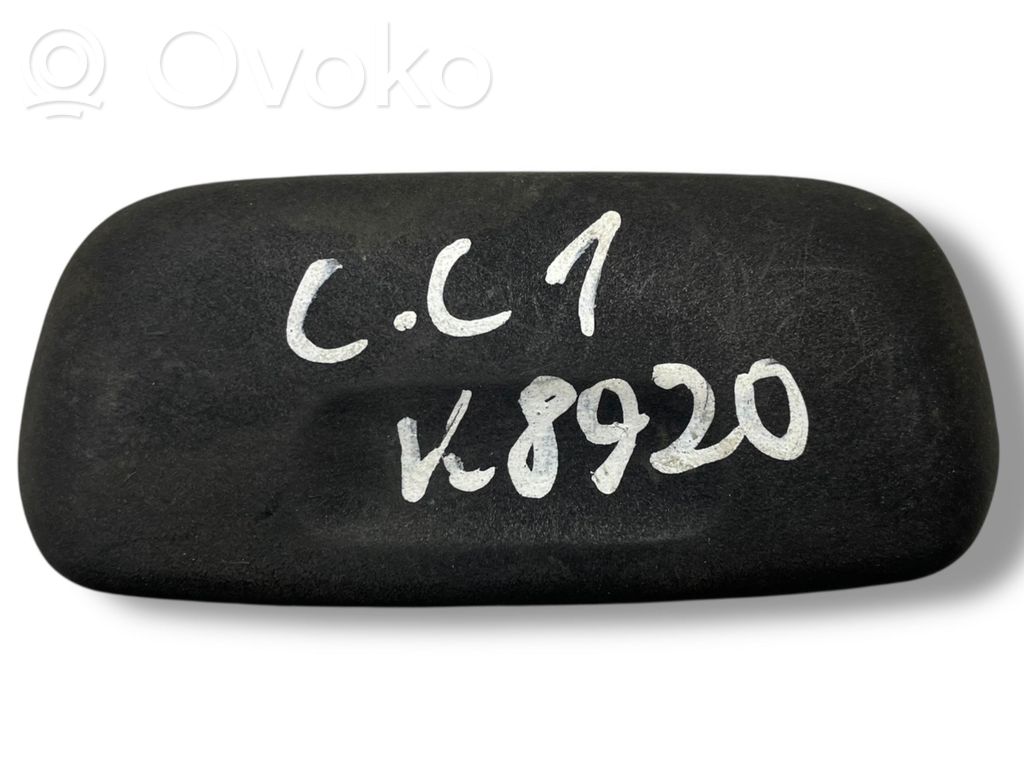 Bagāžnieka rokturis