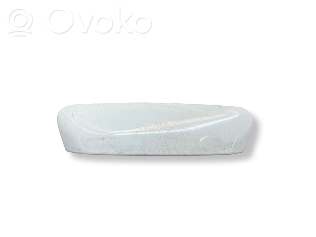 Bagāžnieka rokturis