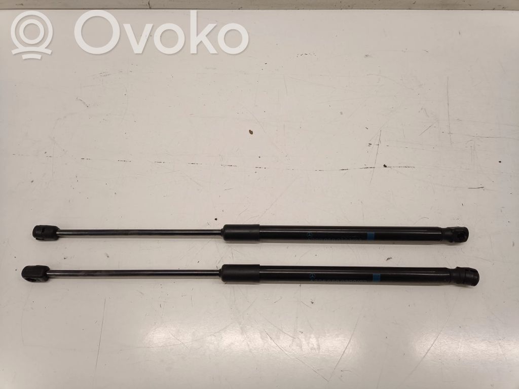 Lot De 2 Vérins De Capot Arrière Pour Ferrari 348 - Neufs - Référence TB 01375A