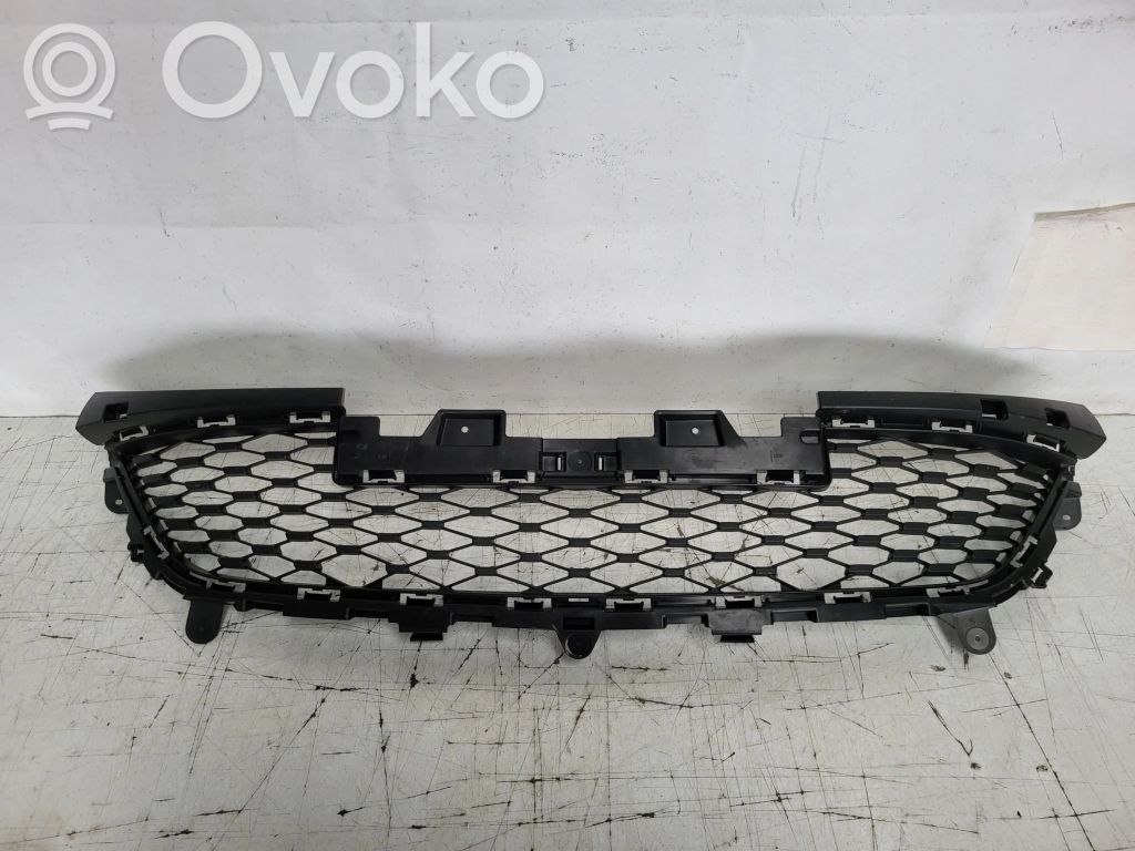 622544898R Renault Zoe Unteres Gitter dreiteilig vorne, 105.41 € | RRR
