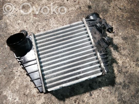 Volkswagen Golf IV Radiatore intercooler 