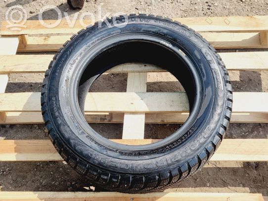 R15 C -nastarengas   CHAMPIRO,ICEPRO