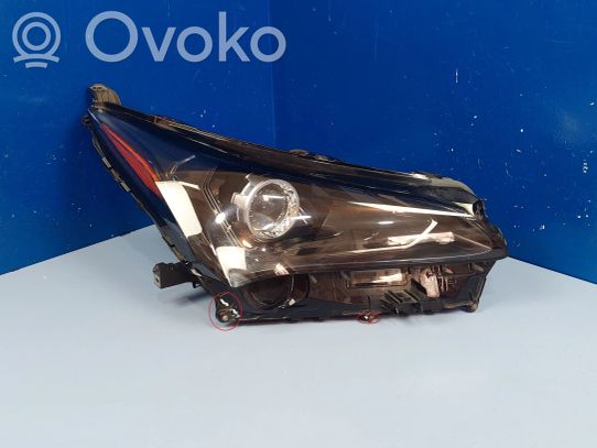 Lexus NX Priekinis žibintas 