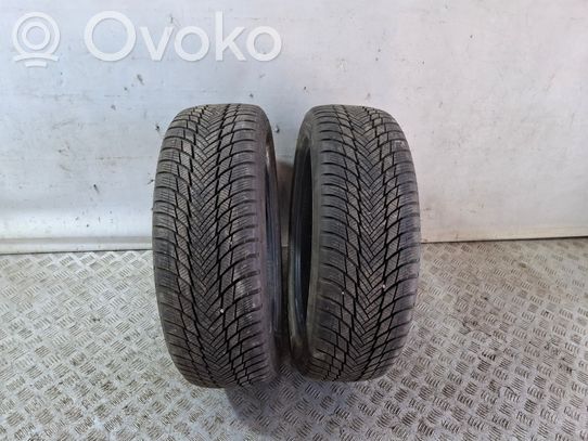 R19-talvirengas   20555R19,BRIDGESTONE