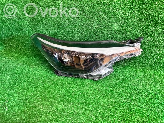 Toyota C-HR I Priekinis žibintas 