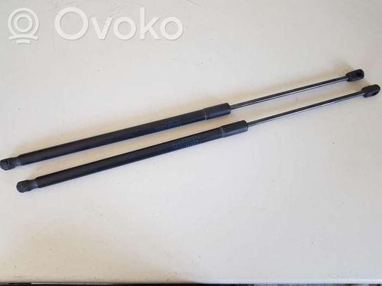 BMW 1 F40 Amortizatorius galinio dangčio 