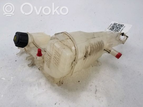 Serbatoio di compensazione del liquido refrigerante/vaschetta   217100014R,V23698Y
