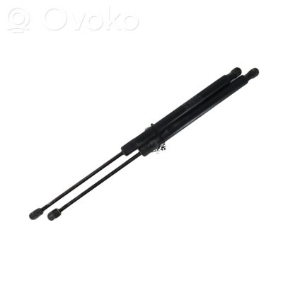 Mercedes-Benz B W245 Puntone del portellone posteriore 