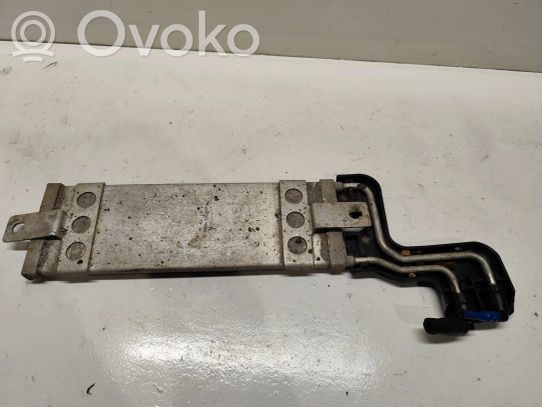 Volkswagen Golf IV Radiatore del carburatore (radiatore) 