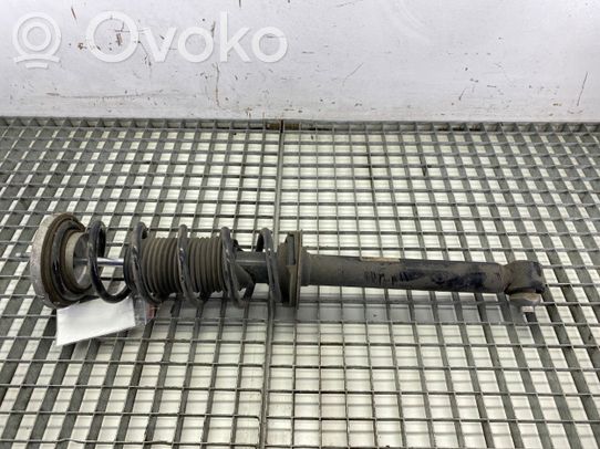 Rear shock absorber/damper   6896016