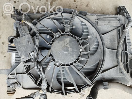 Ford Focus Pannello di supporto del radiatore 