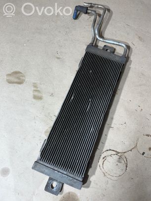 Audi A3 S3 8L Radiatore del carburatore (radiatore) 