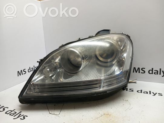 Mercedes-Benz ML W164 Priekinis žibintas 