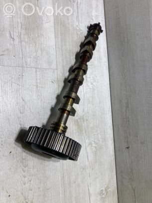 Audi A8 S8 D3 4E Puleggia dell’albero a camme/VANOS 