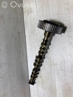 Audi A8 S8 D3 4E Puleggia dell’albero a camme/VANOS 