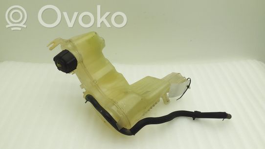 Renault Laguna III Serbatoio di compensazione del liquido refrigerante/vaschetta 