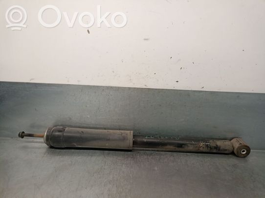 Ammortizzatore posteriore   287132400189,250613