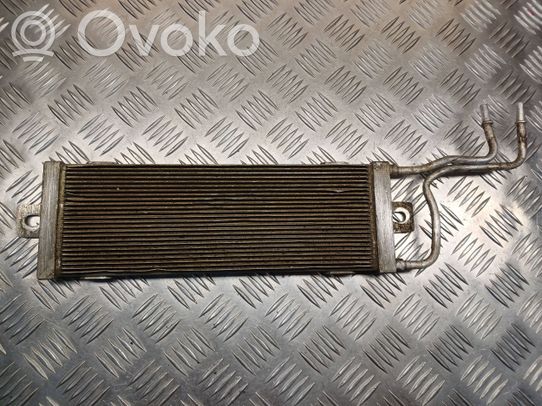 Audi A3 S3 8L Radiatore del carburatore (radiatore) 
