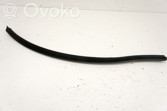 Audi Q5 SQ5 Rubber seal front door window/glass